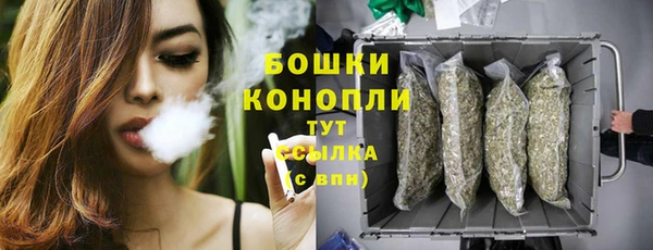 стаф Белоозёрский