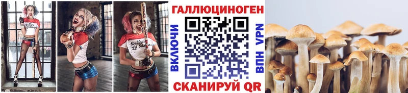 наркота  Бодайбо  Галлюциногенные грибы Psilocybe 